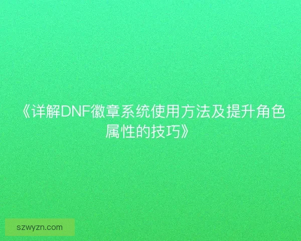 《详解DNF徽章系统使用方法及提升角色属性的技巧》